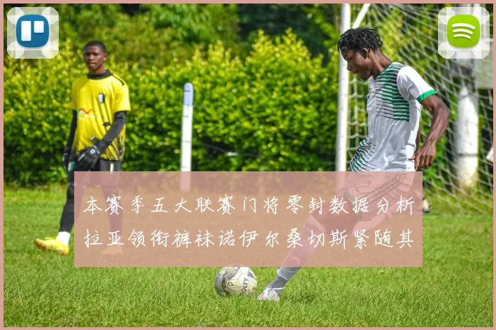 本赛季五大联赛门将零封数据分析拉亚领衔裤袜诺伊尔桑切斯紧随其后