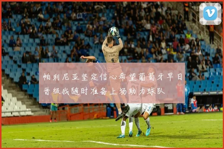 帕利尼亚坚定信心希望葡萄牙早日晋级我随时准备上场助力球队